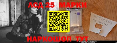 Альфа ПВП Будённовск