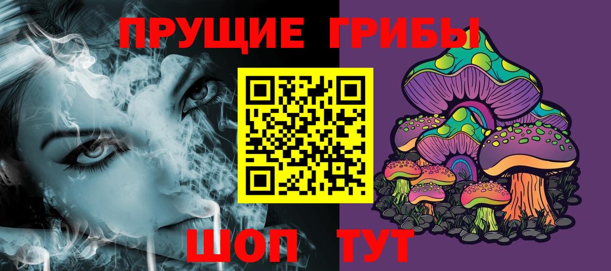 дарнет шоп  Вход с VPN  Мытищи  Псилоцибиновые грибы Cubensis  Псилоцибиновые грибы мицелий 